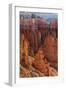 Utah, Bryce Canyon National Park, Bryce Canyon and Hoodoos-Jamie And Judy Wild-Framed Photographic Print