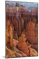 Utah, Bryce Canyon National Park, Bryce Canyon and Hoodoos-Jamie And Judy Wild-Mounted Photographic Print