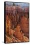 Utah, Bryce Canyon National Park, Bryce Canyon and Hoodoos-Jamie And Judy Wild-Framed Stretched Canvas