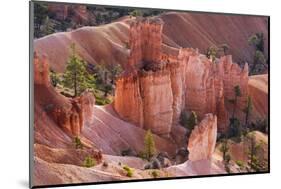 Utah, Bryce Canyon National Park, Bryce Canyon and Hoodoos-Jamie And Judy Wild-Mounted Photographic Print