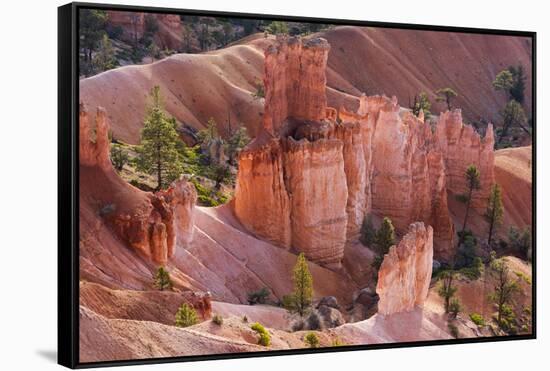 Utah, Bryce Canyon National Park, Bryce Canyon and Hoodoos-Jamie And Judy Wild-Framed Stretched Canvas