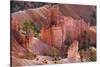 Utah, Bryce Canyon National Park, Bryce Canyon and Hoodoos-Jamie And Judy Wild-Stretched Canvas