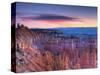 Utah, Bryce Canyon National Park, from Sunrise Point, USA-Alan Copson-Stretched Canvas