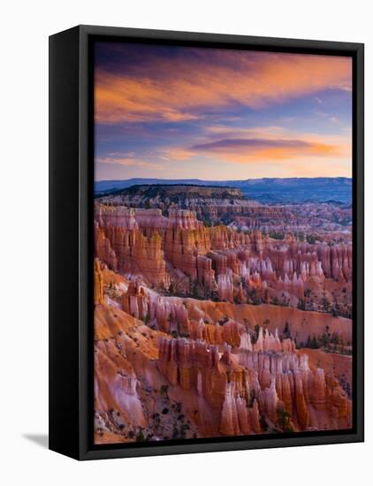 Utah, Bryce Canyon National Park, from Sunset Point, USA-Alan Copson-Framed Stretched Canvas