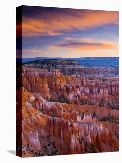 Utah, Bryce Canyon National Park, from Sunset Point, USA-Alan Copson-Stretched Canvas