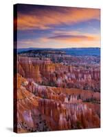 Utah, Bryce Canyon National Park, from Sunset Point, USA-Alan Copson-Stretched Canvas