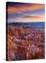 Utah, Bryce Canyon National Park, from Sunset Point, USA-Alan Copson-Stretched Canvas