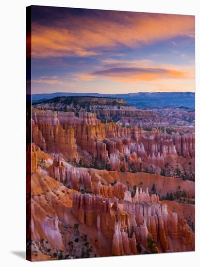 Utah, Bryce Canyon National Park, from Sunset Point, USA-Alan Copson-Stretched Canvas