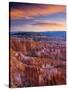 Utah, Bryce Canyon National Park, from Sunset Point, USA-Alan Copson-Stretched Canvas