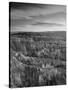 Utah, Bryce Canyon National Park, from Sunset Point, USA-Alan Copson-Stretched Canvas