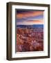 Utah, Bryce Canyon National Park, from Sunset Point, USA-Alan Copson-Framed Premium Photographic Print