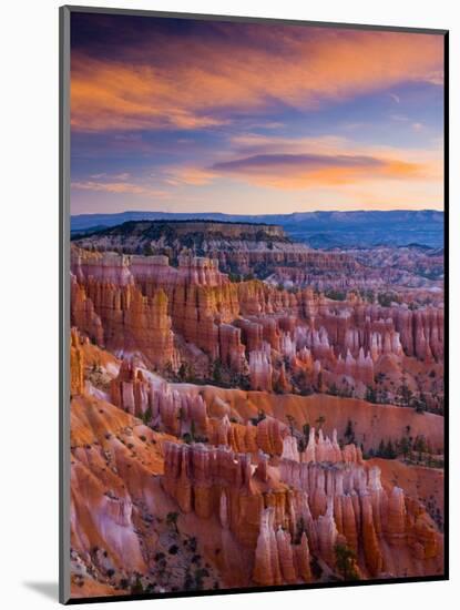 Utah, Bryce Canyon National Park, from Sunset Point, USA-Alan Copson-Mounted Premium Photographic Print