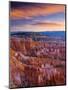 Utah, Bryce Canyon National Park, from Sunset Point, USA-Alan Copson-Mounted Premium Photographic Print