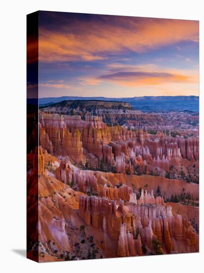 Utah, Bryce Canyon National Park, from Sunset Point, USA-Alan Copson-Stretched Canvas