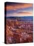 Utah, Bryce Canyon National Park, from Sunset Point, USA-Alan Copson-Stretched Canvas