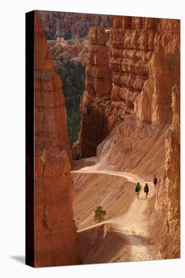 Utah, Bryce Canyon National Park, Hikers on Navajo Loop Trail Through Hoodoos-David Wall-Stretched Canvas