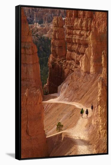 Utah, Bryce Canyon National Park, Hikers on Navajo Loop Trail Through Hoodoos-David Wall-Framed Stretched Canvas