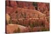 Utah, Bryce Canyon National Park, Hikers on Queens Garden Trail Through Hoodoos-David Wall-Stretched Canvas