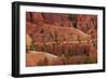 Utah, Bryce Canyon National Park, Hikers on Queens Garden Trail Through Hoodoos-David Wall-Framed Photographic Print