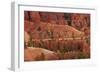 Utah, Bryce Canyon National Park, Hikers on Queens Garden Trail Through Hoodoos-David Wall-Framed Photographic Print