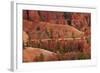 Utah, Bryce Canyon National Park, Hikers on Queens Garden Trail Through Hoodoos-David Wall-Framed Photographic Print