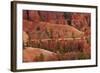 Utah, Bryce Canyon National Park, Hikers on Queens Garden Trail Through Hoodoos-David Wall-Framed Photographic Print