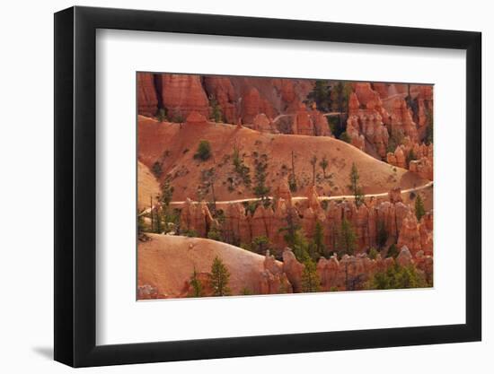 Utah, Bryce Canyon National Park, Hikers on Queens Garden Trail Through Hoodoos-David Wall-Framed Photographic Print