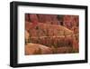 Utah, Bryce Canyon National Park, Hikers on Queens Garden Trail Through Hoodoos-David Wall-Framed Photographic Print