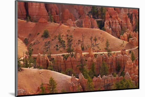 Utah, Bryce Canyon National Park, Hikers on Queens Garden Trail Through Hoodoos-David Wall-Mounted Photographic Print