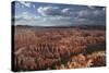 Utah, Bryce Canyon National Park, Hoodoos in Bryce Amphitheater-David Wall-Stretched Canvas