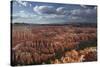 Utah, Bryce Canyon National Park, Hoodoos in Bryce Amphitheater-David Wall-Stretched Canvas