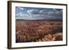 Utah, Bryce Canyon National Park, Hoodoos in Bryce Amphitheater-David Wall-Framed Photographic Print