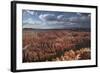 Utah, Bryce Canyon National Park, Hoodoos in Bryce Amphitheater-David Wall-Framed Photographic Print