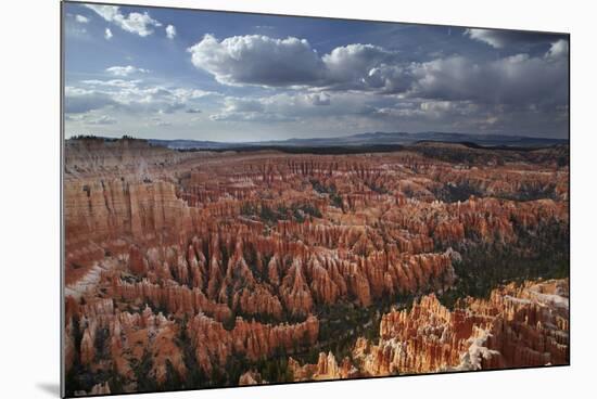 Utah, Bryce Canyon National Park, Hoodoos in Bryce Amphitheater-David Wall-Mounted Photographic Print