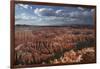 Utah, Bryce Canyon National Park, Hoodoos in Bryce Amphitheater-David Wall-Framed Photographic Print