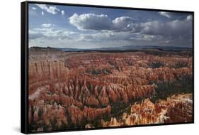 Utah, Bryce Canyon National Park, Hoodoos in Bryce Amphitheater-David Wall-Framed Stretched Canvas