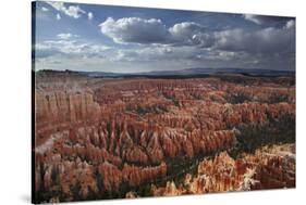 Utah, Bryce Canyon National Park, Hoodoos in Bryce Amphitheater-David Wall-Stretched Canvas