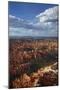 Utah, Bryce Canyon National Park, Hoodoos in Bryce Amphitheater-David Wall-Mounted Photographic Print