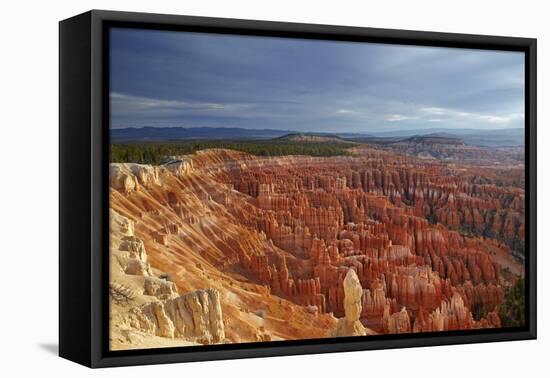 Utah, Bryce Canyon National Park, Hoodoos in Bryce Amphitheater-David Wall-Framed Stretched Canvas