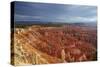 Utah, Bryce Canyon National Park, Hoodoos in Bryce Amphitheater-David Wall-Stretched Canvas