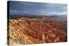 Utah, Bryce Canyon National Park, Hoodoos in Bryce Amphitheater-David Wall-Stretched Canvas