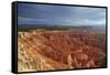 Utah, Bryce Canyon National Park, Hoodoos in Bryce Amphitheater-David Wall-Framed Stretched Canvas