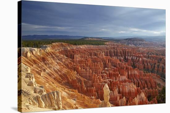 Utah, Bryce Canyon National Park, Hoodoos in Bryce Amphitheater-David Wall-Stretched Canvas