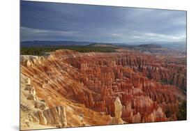 Utah, Bryce Canyon National Park, Hoodoos in Bryce Amphitheater-David Wall-Mounted Photographic Print