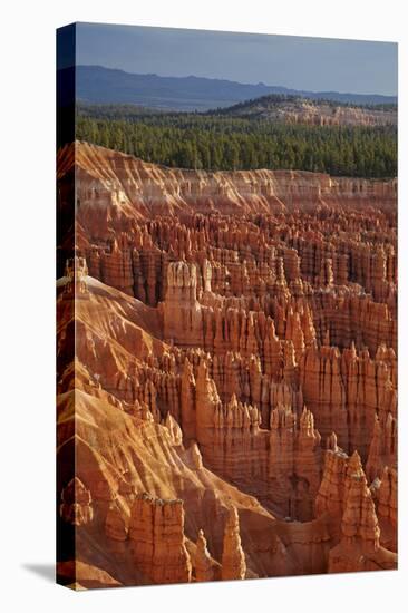 Utah, Bryce Canyon National Park, Hoodoos in Bryce Amphitheater-David Wall-Stretched Canvas