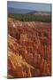 Utah, Bryce Canyon National Park, Hoodoos in Bryce Amphitheater-David Wall-Mounted Photographic Print