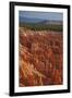 Utah, Bryce Canyon National Park, Hoodoos in Bryce Amphitheater-David Wall-Framed Photographic Print