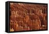 Utah, Bryce Canyon National Park, Hoodoos in Bryce Amphitheater-David Wall-Framed Stretched Canvas