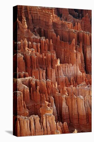 Utah, Bryce Canyon National Park, Hoodoos in Bryce Amphitheater-David Wall-Stretched Canvas