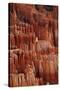 Utah, Bryce Canyon National Park, Hoodoos in Bryce Amphitheater-David Wall-Stretched Canvas